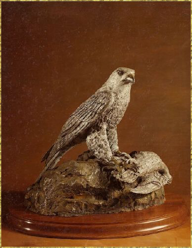 Arctic Gyrfalcon